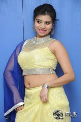 Priyanka at Adhee Lekka Movie Platinum Disc Function